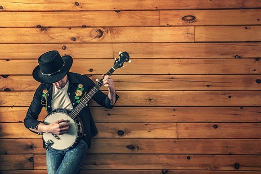 Musician, Country Song, Banjo, Ukulele