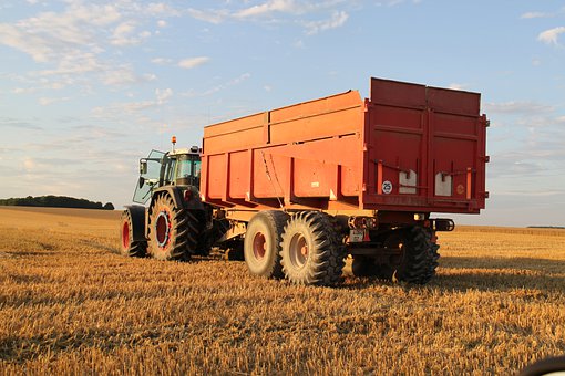 Fields, Wheat, Harvest, Tractor, Faucher