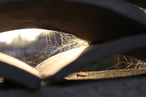 Cobweb, Spider Web, Concrete, Ground